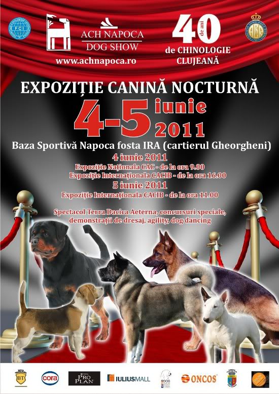 Napoca Dog Show 2011 napoca