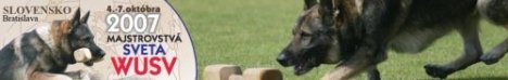 WUSV - Weltmeisterschaft 2007 bzsz