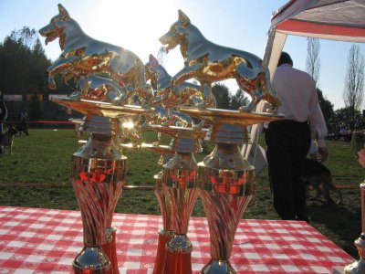 Campionatul national de ciobanesc german 2005 - Click pentru mai multe poze