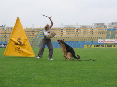 Expo Club si selectie Bucuresti - Click pentru mai multe poze