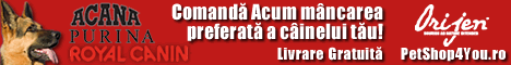 Pet Shop Online cu Livrare Rapida PetShop4You